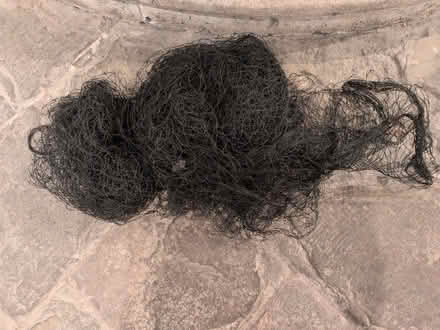 Photo of free Black netting (Bath) #1