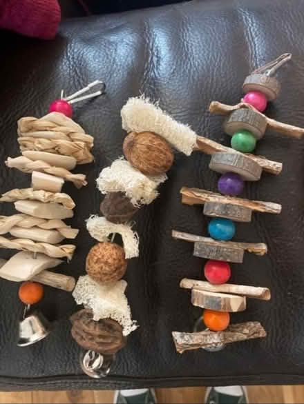 Photo of free Parrot 🦜/ Bird Toys (Cheshunt En8) #2