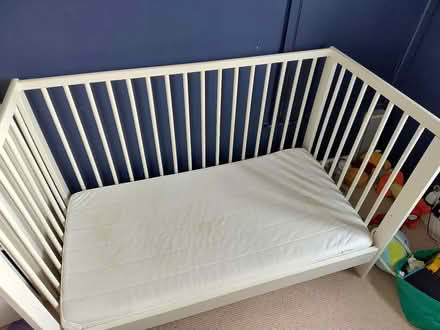 Photo of free Cot (Weston) #1