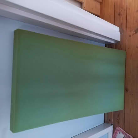 Photo of free Sponge (shepperton) #1