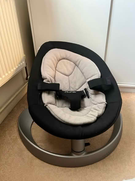 Photo of free Nuna leaf swing (St Albans AL4) #1