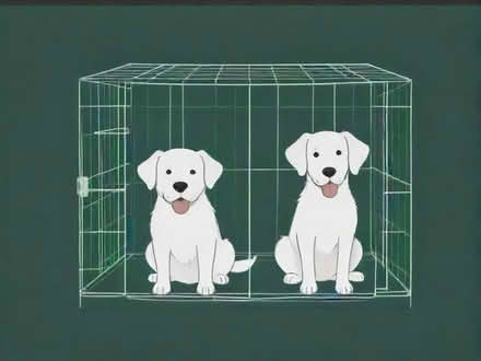 Photo of large dog cages (Ludlow SY8) #1