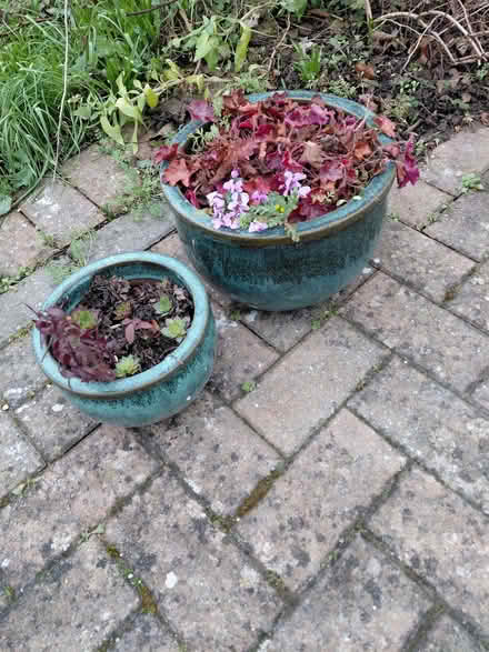 Photo of free Plant pots (Stroud GL5) #1