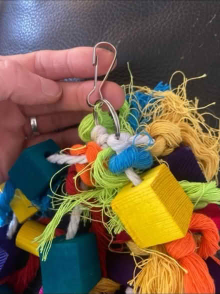 Photo of free Large Parrot 🦜/ Bird Toy (Cheshunt En8) #2