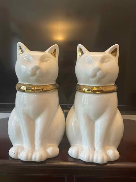 Photo of free Cat containers (BS5) #1
