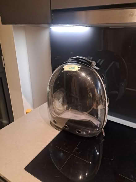 Photo of free Cat carry case (Bromley-by-Bow E3) #1