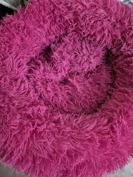 Photo of free Silentnight DOG BED (N17 the roundway) #1