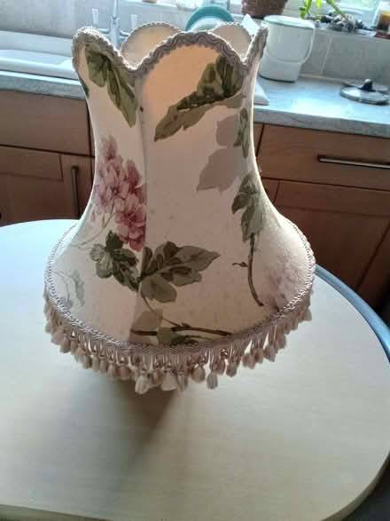 Photo of free Antique lampshade (Brickhill MK41) #1