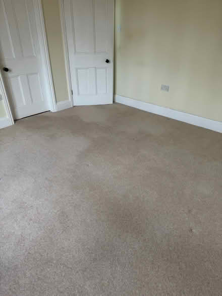 Photo of free Bedroom carpet (Colwall stone) #1