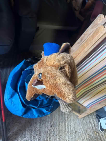 Photo of free Junior golf clubs (Guardbridge KY16) #2