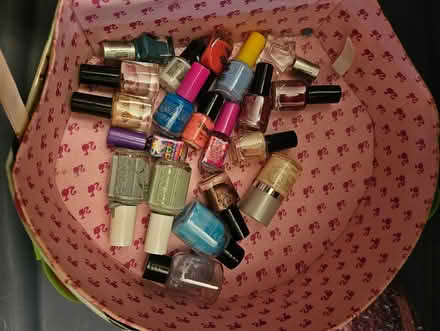 Photo of free Two cases of old nail polish (Near the experimental farm) #2