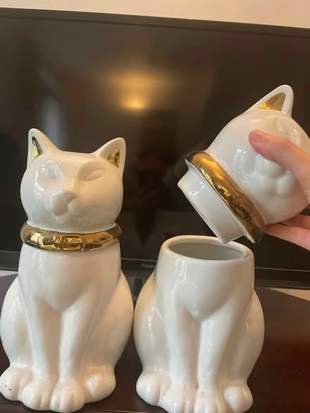 Photo of free Cat containers (BS5) #2