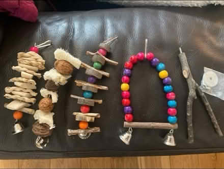 Photo of free Parrot 🦜/ Bird Toys (Cheshunt En8) #1