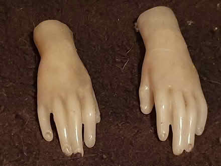 Photo of free Wax dolls hands (Alvaston) #2