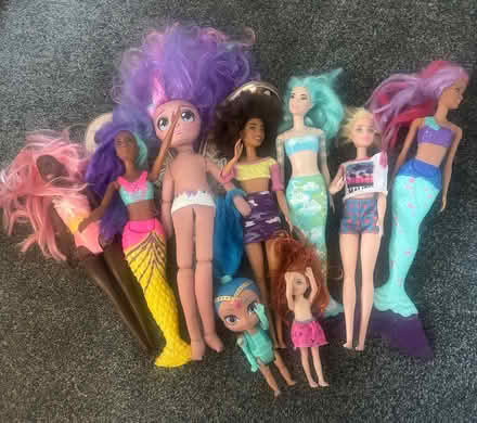 Photo of free Dolls (Boreham, Chelmsford CM3) #2