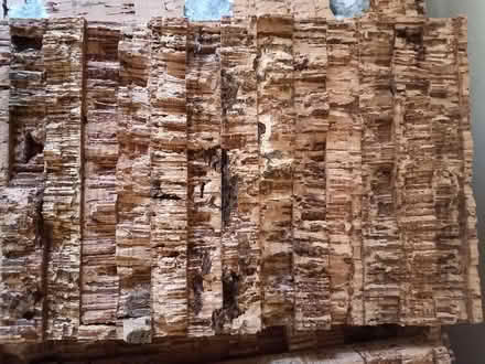 Photo of free Cork boards (Sallins) #2