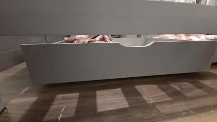 Photo of free Single bed frame (Bellingham SE6) #2