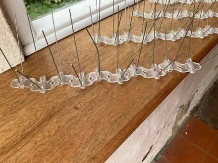 Photo of free Bird prevention spikes (Ickleford SG5) #2