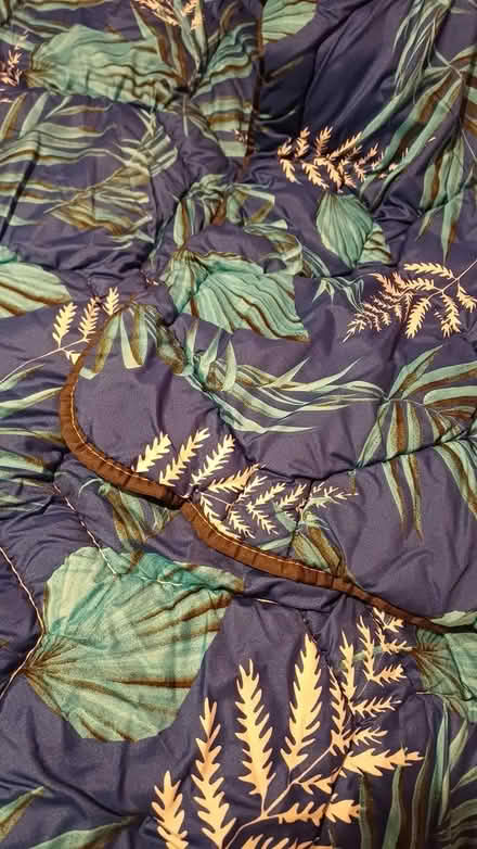 Photo of free Blue leaf coverless duvet (Chineham RG24) #1