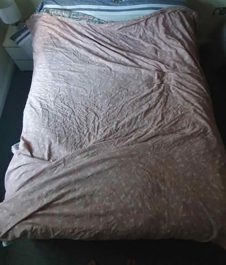 Photo of free Paisley Standard Double Duvet Cover (TW1 - Twickenham) #2