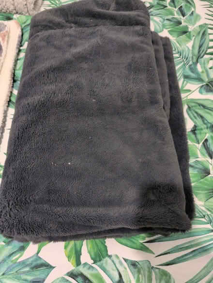 Photo of free Throws (Hyde SK14) #3