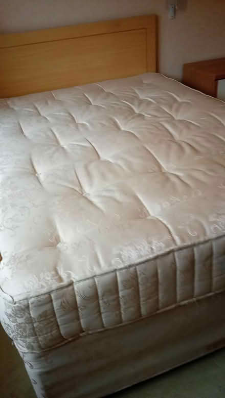 Photo of free Two double beds with mattress (SY11 oswestry) #1