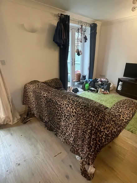 Photo of free Leopard Print sofa (BS5) #2