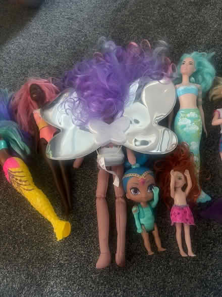 Photo of free Dolls (Boreham, Chelmsford CM3) #3