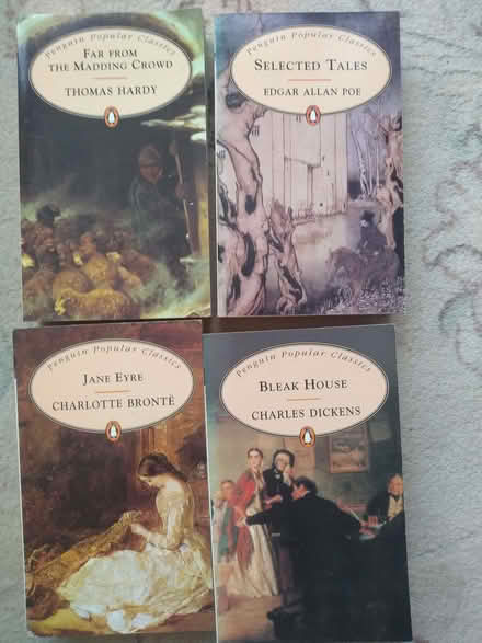 Photo of free Some classic books for readers (Greater Leys OX4) #1