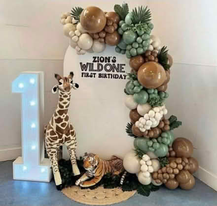 Photo of Safari/wild one party stuff (Stevenage SG2) #1