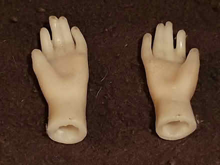 Photo of free Wax dolls hands (Alvaston) #1