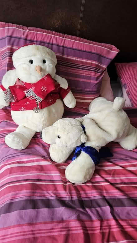 Photo of free 2 Cuddly Toys (CT8) #1