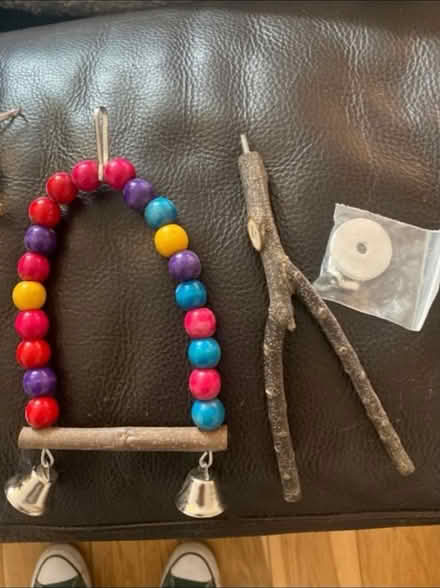 Photo of free Parrot 🦜/ Bird Toys (Cheshunt En8) #3
