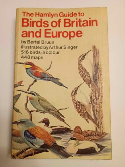 Photo of free Birds of Britain and Europe (Amersham HP7) #1