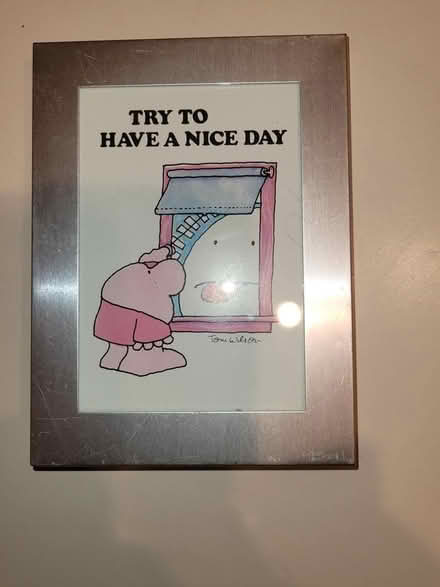 Photo of free Ziggy Picture - Nice Day (Erin Mills) #1