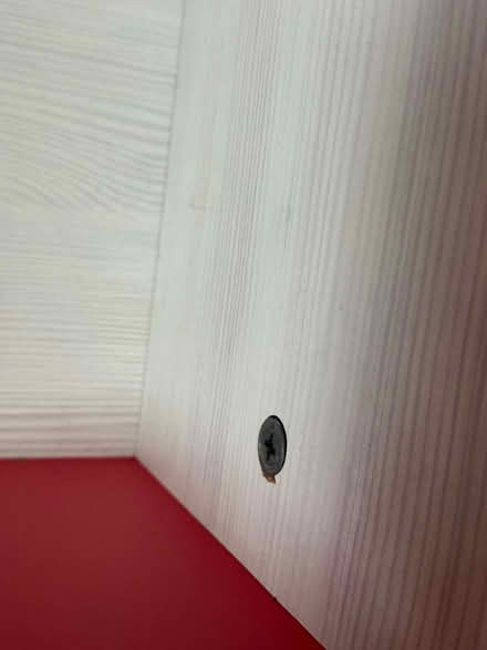 Photo of free Red and white wall shelving unit (Queens Park MK40) #3