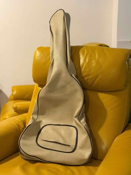 Photo of free Guitar case (Stanstead St Margarets SG12) #1