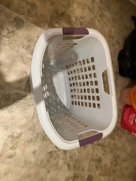 Photo of free Ezy Storage Encore Laundry Hamper (Twerton) #2
