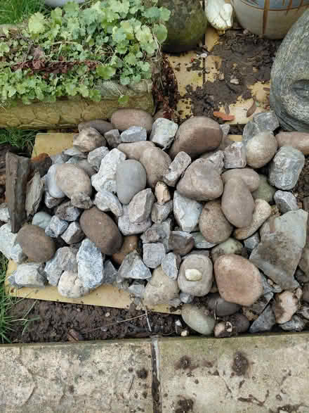 Photo of free Pebbles and decorative stone (Stroud GL5) #1