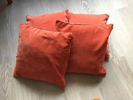 Photo of free 4 x cushions (Southdown AL5) #2