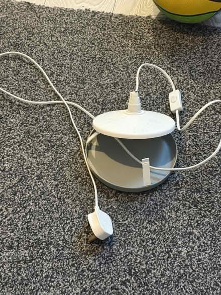 Photo of free Flea lamp (Croydon CR0) #1