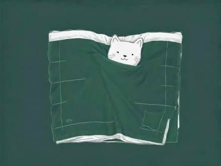 Photo of Blanket (Bulphan RM14) #1