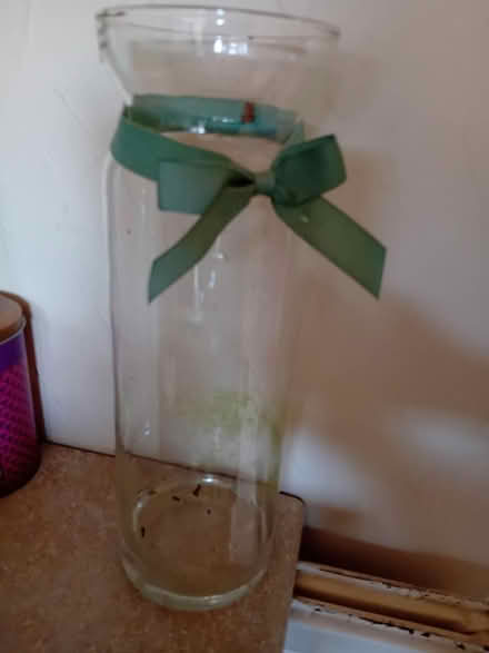 Photo of free Orchid container (Pitsea SS13) #1
