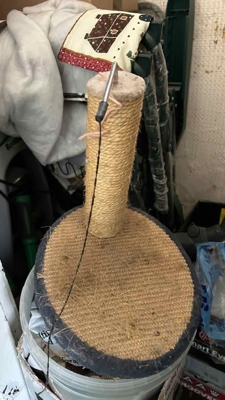 Photo of free Cat scratching post (Dolwyd LL31) #1