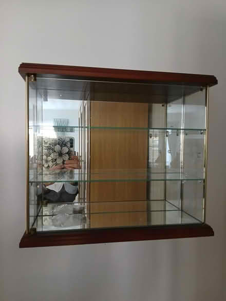 Photo of free Small Glass Wall Display cabinet (Great Baddow) #1