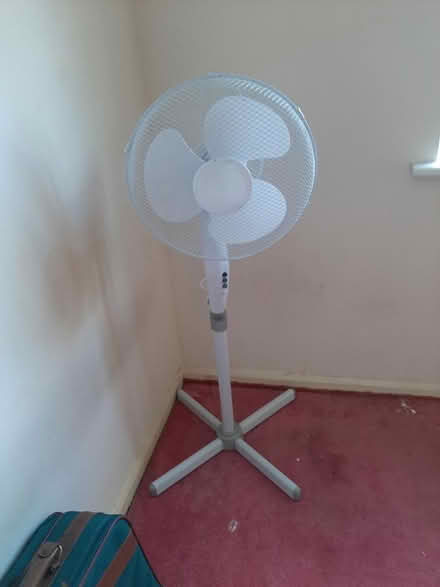 Photo of free Floor standing fan (Carlton) #1