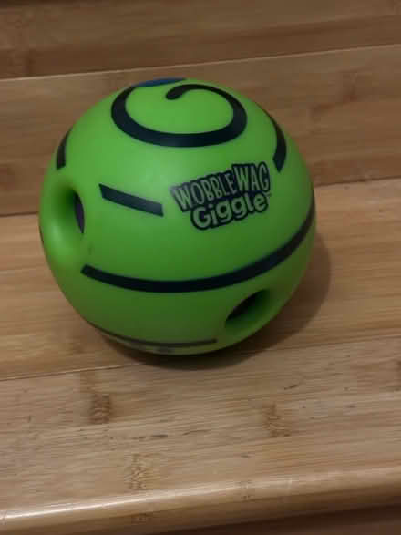 Photo of free Interactive dog toy (Stoke Newington N16) #1