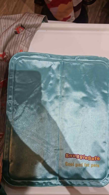 Photo of free Snugglesafe cool mat (Easton BS5) #1