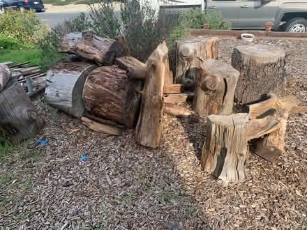 Photo of free Wood (San Carlos (Highlands)) #1