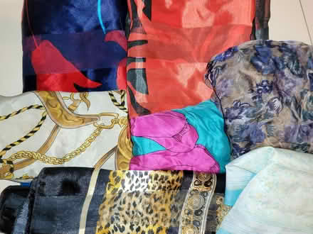 Photo of free 7 scarves / kerchiefs (Erin Mills) #1